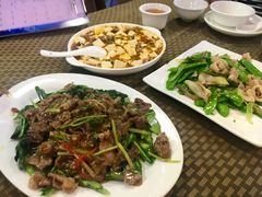 -肥信潮菜(科新路店)