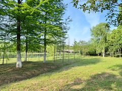 -滨湖塘西河公园