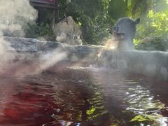 -中家鑫园温泉酒店鑫悦汤泉