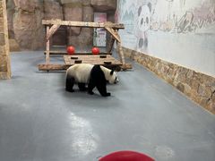 -无锡动物园·太湖欢乐园