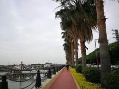 -南沙十九涌渔人码头-南门