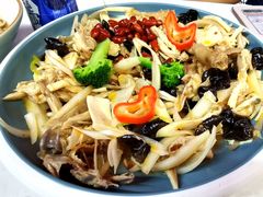 新疆椒麻鸡-董小西的凉皮和椒麻鸡(三元桥店)