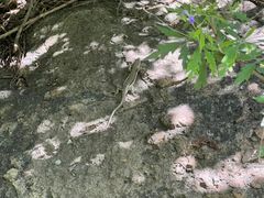 -灵溪风景区