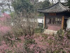 -团城山公园