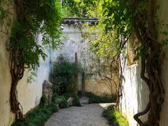-艺圃