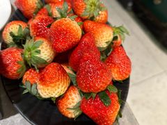 -桂满陇-十里风荷(合生汇店)