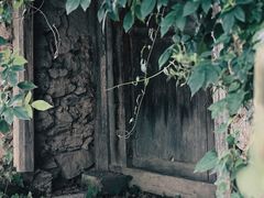 -萝卜寨羌文化生态旅游区