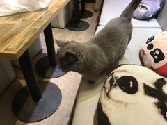 -小时光咖啡馆(开森度假森林店)