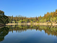 -井冈山风景名胜区