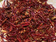 -院8里·小聚园老川菜(九眼桥店)