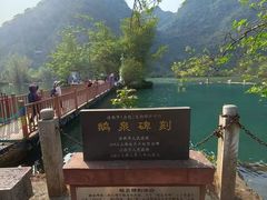 -靖西鹅泉风景区