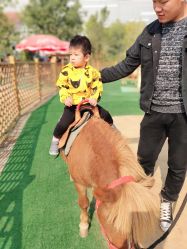 -萌宠亲子动物乐园(槐房万达店)