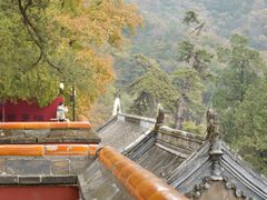 景点-潭柘寺景区