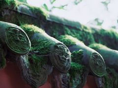 -峨眉山报国寺