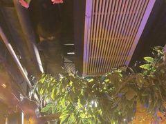 -城墙拐拐火锅(三峡广场黑金冠店)