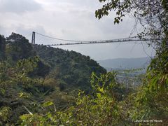 -南丹山森林王国