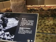 -元代水闸遗址博物馆