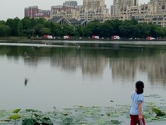 -南翔镇银翔湖公园