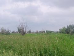 -黄沙古渡原生态旅游区