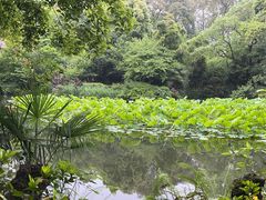 -成都杜甫草堂博物馆