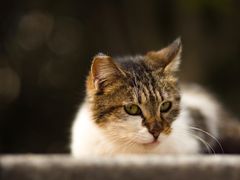 -苏州河梦清园环保主题公园