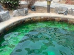 -中家鑫园温泉酒店鑫悦汤泉