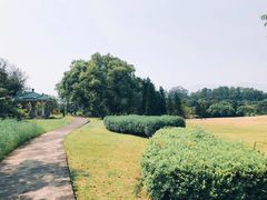 -福建鲤鱼洲酒店