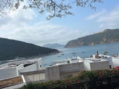 -Big Bus Tours 敞篷观光巴士