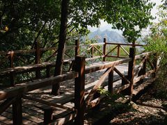 -大岭沟猕猴桃谷风景区