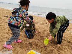 -仙人岛