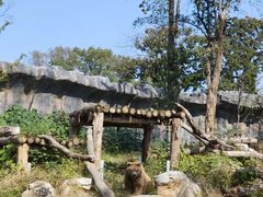 -武汉动物园