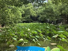 -人民公园-相亲角