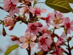 -白沙门生态公园