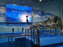 -福州罗源湾海洋世界旅游区