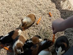 -常州海昌海洋探索馆