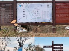 -池杉湖湿地公园