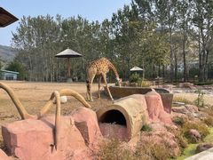 -大连森林动物园