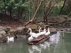 -兰亭风景区