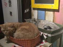 -小时光咖啡馆(开森度假森林店)