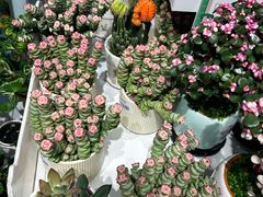 -blt精品超市(KKMALL京基店)