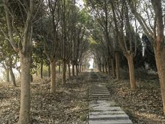 -嬉子湖生态旅游区