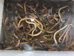 -海精英海鲜世界(台海路店)