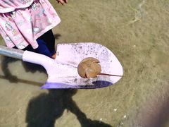 -北海金海湾红树林生态旅游区