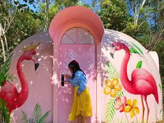 -漳州滨海火山岛自然生态风景区