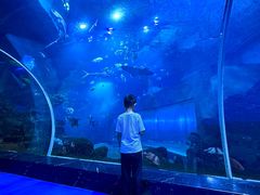 -威海华夏城景区