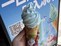 -蜜雪冰城(浙江大学店)
