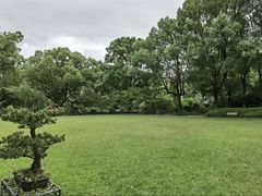 -申粤轩酒楼·三十年粤菜经典(丁香花园店)