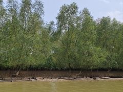 -东寨港红树林旅游区