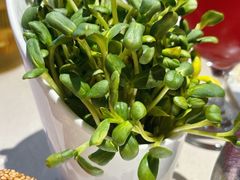 -浩爷羊蝎子火锅(望京店)