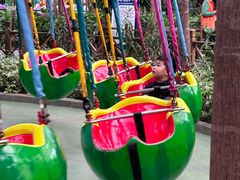 -南宫五洲植物乐园